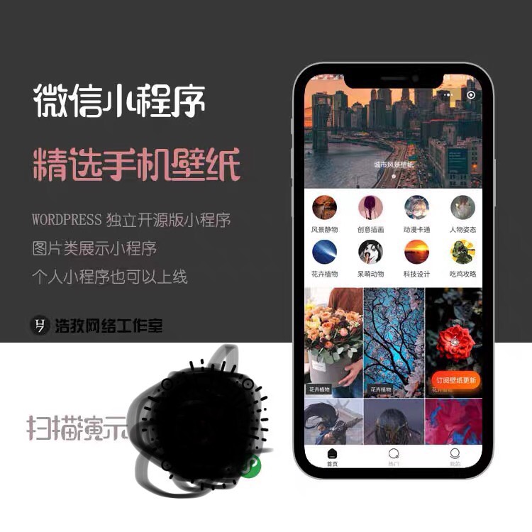手机壁纸小程序源码 支持激励视频广告 带订阅 去授权插图2