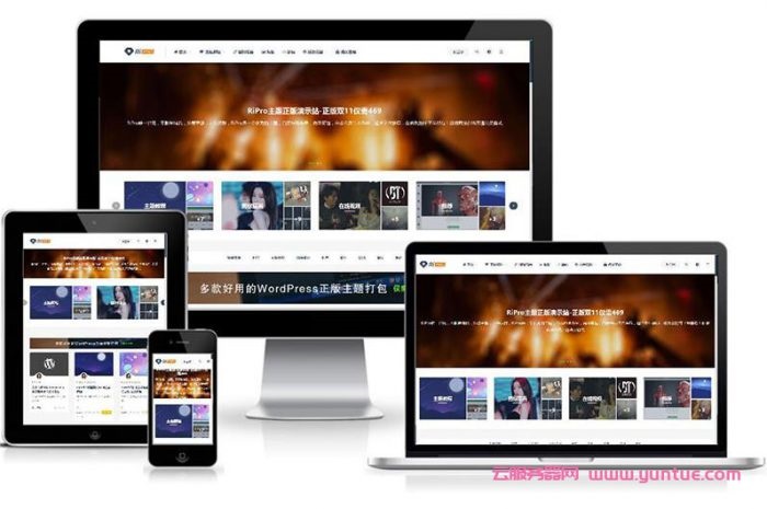 Ripro 日主题破解版8.7  v8.7免扩展破解无限制版插图