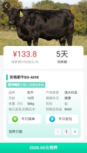 运营版养牛场/金融投资理财源码/带有积分商城/牧场源码+安装教程插图2