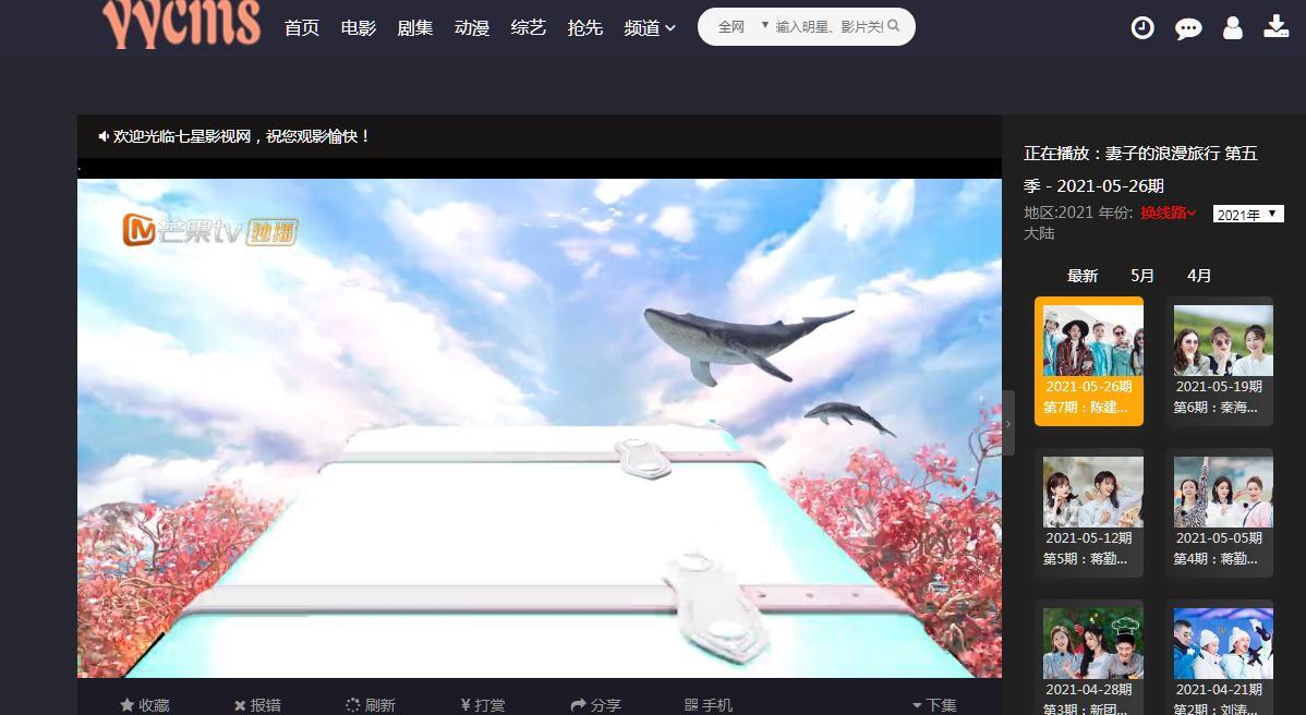 YYCMS内核 首发全自动采集影视网站源码 整合资源采集网+解析接口插图2