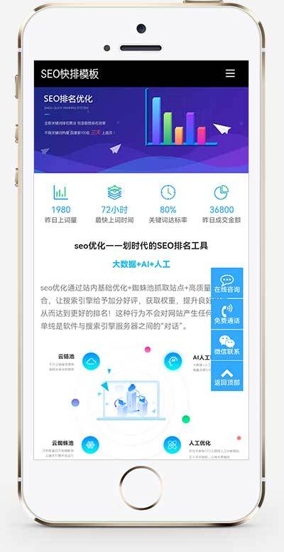 (自适应移动端)大气的IT网络软件公司网站源码 seo快排网站pbootcms模板插图1