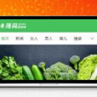 帝国CMS7.5 仿薄荷健康网完整版_两性/养生/减肥 生活类网站模板 带会员中心+投稿+百度主动推送+可封装APP