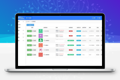 SAPI SaaS平台 v1.8.7.1