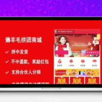 小程序 薅羊毛拼团商城2.2.8破解免授权+前端