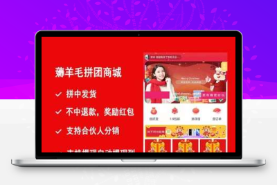 小程序 薅羊毛拼团商城2.2.8破解免授权+前端