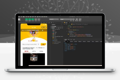 去水印小程序源码 抖音去水印WEB接口版