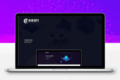 二开赤龙四方支付系统源码+带服务器监控APP产码+手机端APP