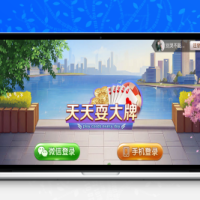 【最新天天耍大牌】客户定制版流水抽水控制账务系统全民代理实时客户等一目了然上线运营[目前最完美的版本]