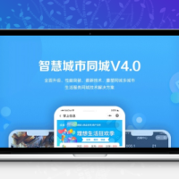 智慧城市同城小程序V4_1.0.86+有无直播前端