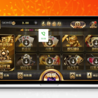 微星黑金二开ui服务器打包完整数据+双端app正常