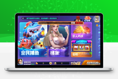 网狐系列728电玩