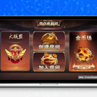 鑫众金币版大联盟 含代理+银商功能