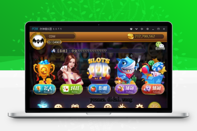 新款鑫众金币电玩合集 天天金币电玩合集带架设视频教程