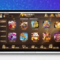 微星二开/知己全修复版本 新增流水脚本+短信注册+银行卡绑定