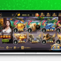 网狐荣耀微星二改598QP组件+源代码
