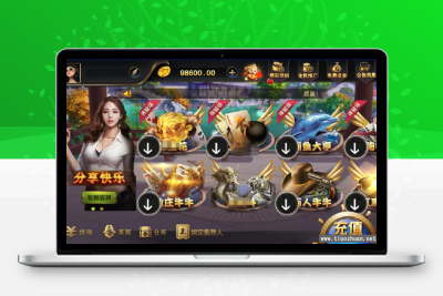 网狐荣耀微星二改598QP组件+源代码
