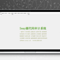 修复版SEAY代码审计系统下载_去除后门/排门