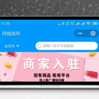 志汇叮咚同城微圈小程序源码v11.5.8(已修复登陆问题)
